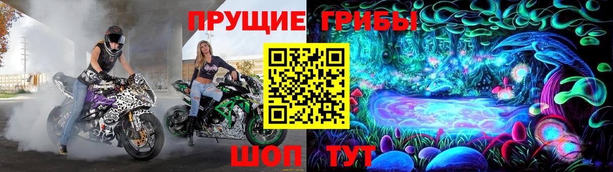 Великий Новгород  Псилоцибиновые грибы Psilocybine cubensis  Вход с VPN 